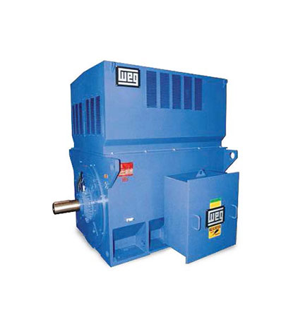 High Voltage Induction Motors